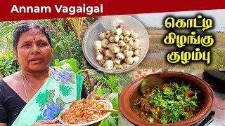 கிராமத்து ஏரியில் பிடுங்கி செய்த கொட்டி கிழங்கு குழம்பு  Kotty kizhangu Recipe  Annam Vagaigal [upl. by Vez]