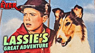 LASSIES GREAT ADVENTURE  Full HEARTWARMING FAMILY DOG Movie [upl. by O'Donoghue727]