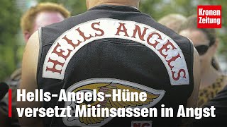 In Wiener Häfn HellsAngelsHüne versetzt Mitinsassen in Angst  kronetv NEWS [upl. by Anirehtak]