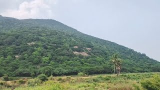 Must Visit Place In Trichy  Puliyancholai falls  Kolli Hills [upl. by Irat]