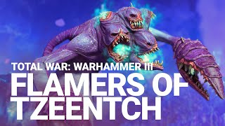 Flamers of Tzeentch Unit Spotlight  Total War WARHAMMER III [upl. by Lear]