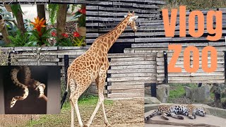 VLOG VISITE AU ZOO DE VINCENNES PARIS [upl. by Ellehcear]