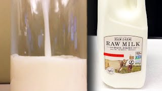 Bird Flu Tested in Raw Milk Leads to Recall [upl. by Murdoch2]