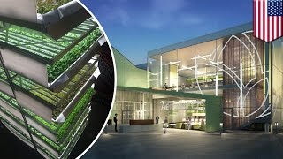 Largest indoor vertical farm uses 95 percent less water and produces more per square feet TomoNews [upl. by Ezarras]