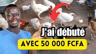 Comment débuter lélevage des Poules Locales avec 50 000 FCFA [upl. by Aicat]