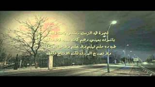 محمد أسامه  كرنفال [upl. by Ylesara]