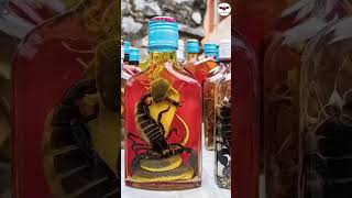 China की मशहूर snake wine short video Vietnam ki snake wine china vietnam snake wine shorts [upl. by Joktan]