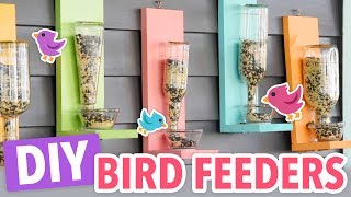 DIY Bird Feeders [upl. by Catherine]