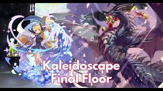 Dragalia Lost  Kaleidoscape Final Floor Vs Bahamut Gala Zena POV [upl. by Oile702]