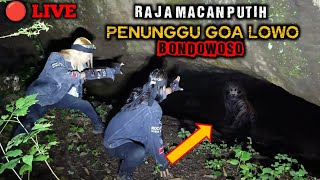 🔴LIVE  DI LUAR NALAR RAJA MACAN PUTIH BERTAPA DI GOA LOWO BONDOWOSO [upl. by Rocher]