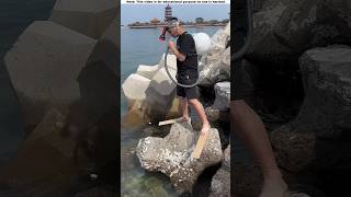 This boy comes to the side of the sea to test the oxygen 😱shortvideo amazingfacts [upl. by Narcissus934]