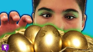 We Find Mystery GOLDEN EGGS From DrGOLD Nest Plank Challenge by HobbyKidsTV [upl. by Sulokcin804]