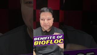 Video 14 Benefits of Biofloc Fish Farming aquaculture fishfarming shorts [upl. by Lucrece]