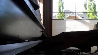 Blest Are They by David Haas piano accompaniment [upl. by Marline214]