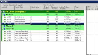 Primavera P6 Fill Down Tips [upl. by Eedrahs66]