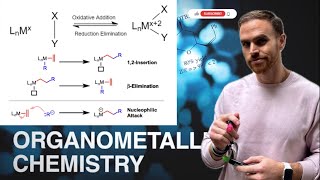 Exploring Organometallic Reactions Bridging Organic and Inorganic Chemistry [upl. by Treble649]