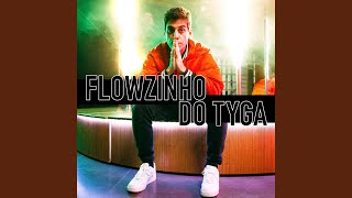 Flowzinho do Tyga [upl. by Ainalem811]