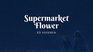 Ed Sheeran  Supermarket Flowers lyrics [upl. by Ahtinak943]