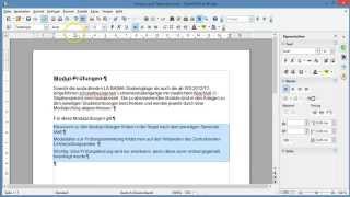 Tutorial HowTo Textverarbeitung Einzug und Tabulator OpenOffice Writer [upl. by Demetre]