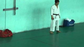 Masao Kawasoe Sensei Seminar 2013 part 7 [upl. by Acissaj]