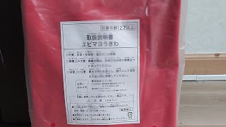 ピザーラ浮き輪 浮き輪株式会社スワン浮き輪ピザーラエビマヨ浮き輪サイズ：９０ｃｍ [upl. by Tima151]