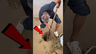 You Wont Believe What He Found Buried in the Sand shorts [upl. by Lagas]