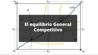 16 El Equilibrio Walrasiano [upl. by Hillel336]