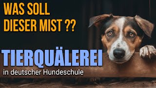 Hundeschule zwingt Hunde über Feuer zu springen  Und die Menschen machen mit und lachen [upl. by Lednem]