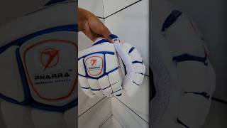 I Tried the Best Batting Gloves from Pnarra Cricket [upl. by Scharf]