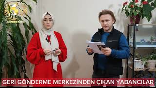 GERİ GÖNDERME MERKEZİNE GÖNDERİLEN YABANCILAR [upl. by Yddur]