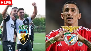 🔴Farense vs Benfica Ao Vivo  Liga Betclic [upl. by Roots997]