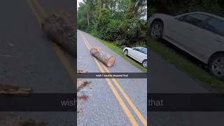 The log just kept on going😱😂 carcrashes treedoctor fypシ゚viral viralshort insane wow fyp [upl. by Ecienahs]