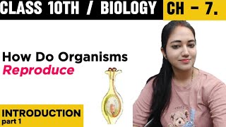 CBSE CLASS 10  BIOLOGY CHAPTER 7  How Do Organisms Reproduce  Introduction  BioCORE [upl. by Zales191]