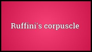 Ruffinis corpuscle Meaning [upl. by Acireed]