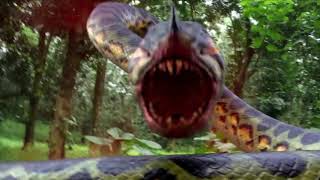 DJ SMITH PIRANHACONDA MOVIE PLUS [upl. by Knarf]