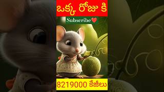 ఒక్క రోజుకి ఎన్ని పూచ్చకాయలు తింటున్నామో 🤔🤔 Shorts honeydew facts viral [upl. by Atinna]