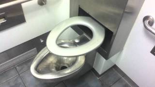 The Toilet Review  Automatic Self Cleaning Toilet Seat [upl. by Naujet476]