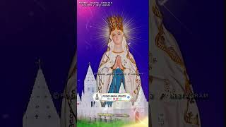 poondimadha poondimadhabasilica romancatholic catholicsongs  Poondi Madha WhatsApp status video [upl. by Paco]