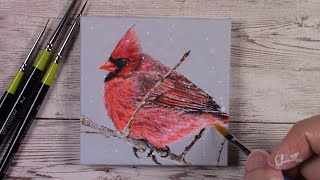 Cardinal Acrylic Painting  TimeLapse Painting  Mini Canvas Ideas [upl. by Healey182]