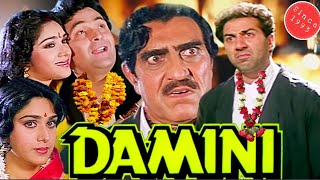 Damini 1993 movie explained in Hindi featSunny DeolRishi KMeenakshi S [upl. by Kopans]