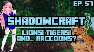 Lions Tigers and Raccoons  ShadowCraft  Ep 57 [upl. by Ieso]