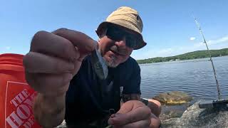 What size hooks to use to catch Porgy Hook size porgy scup hi low rig set up [upl. by Holder]