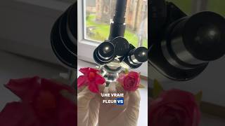 VRAIE FLEUR VS FAUSSE FLEUR 🌷 science microscope zoom fleurs nature shorts [upl. by Traggat]