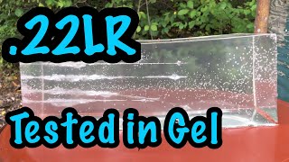 Not What We Expected Popular 22LR Ammo Tested in Ballistics Gel [upl. by Pris]