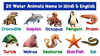 20 Water Animals Name  Water Animals Name in Hindi and English  Water Animals Name video [upl. by Krasner]