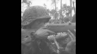 Gewehr 43 in action on the Eastern Front in 1944 [upl. by Ellemaj803]