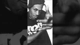 Redman  Da Goodness hiphop oldschool rap [upl. by Obbard406]