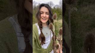 Forage Video part 2 foraged foragedfood foragedstrong foraging viralshorts tiktok [upl. by Kisor]