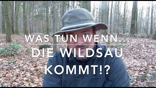 quotGefahrquot durch Wildschweine Ergänzte 2018er Fassung [upl. by Berga508]