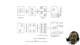 3 Bases físicas de la herencia con audio [upl. by Nerua]